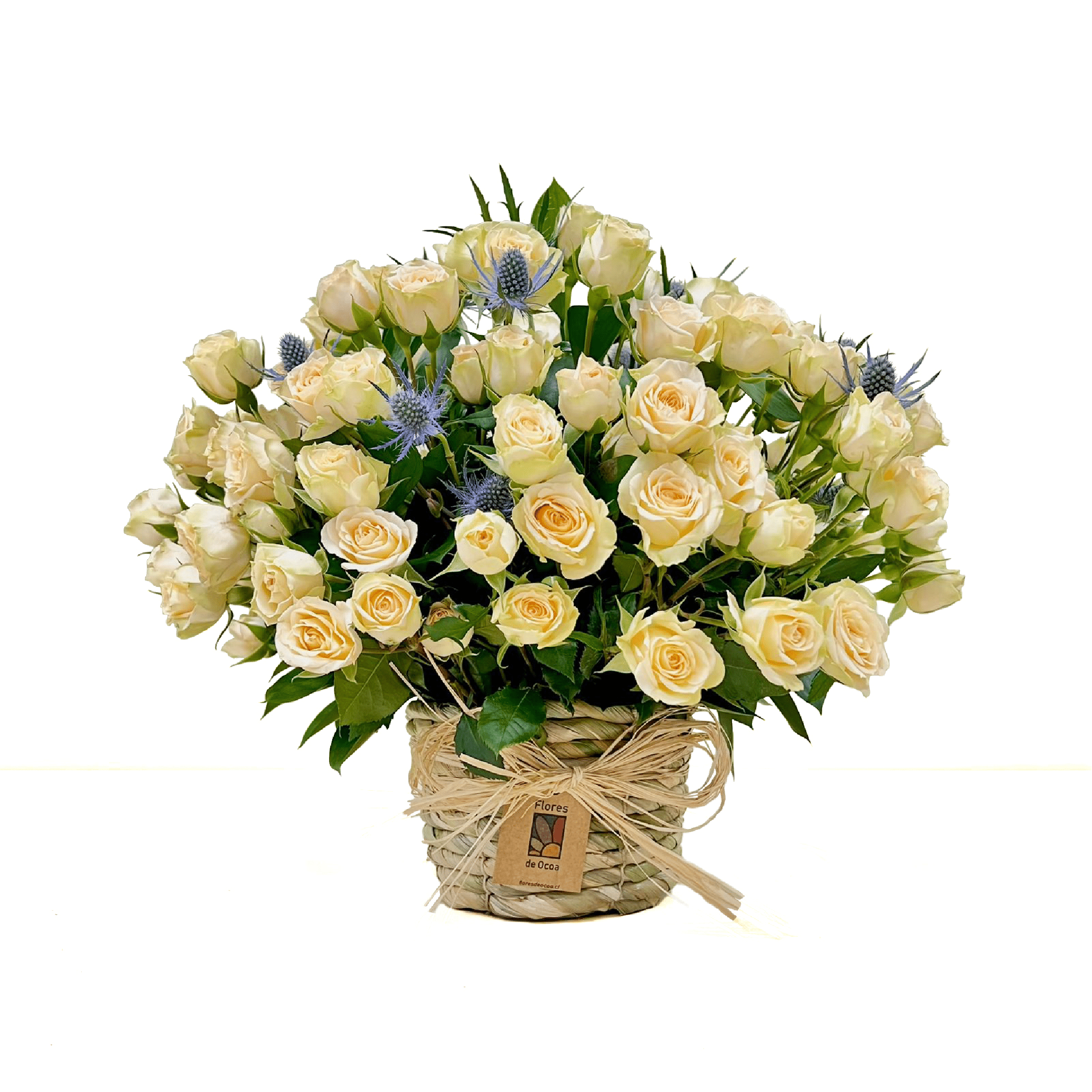 Canasto Mini Rosas & Eryngium Canasto Mini Rosas & Eryngium