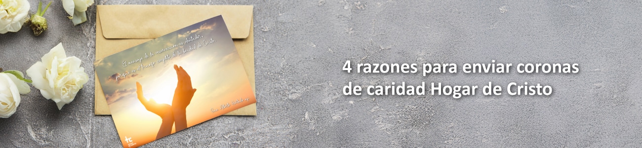 banner v2 titulo 1