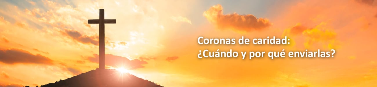 banner v3 titulo