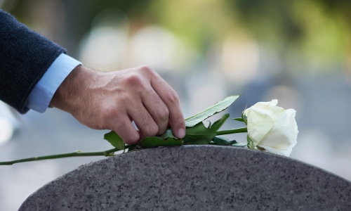 tiendahogardecristo.cl