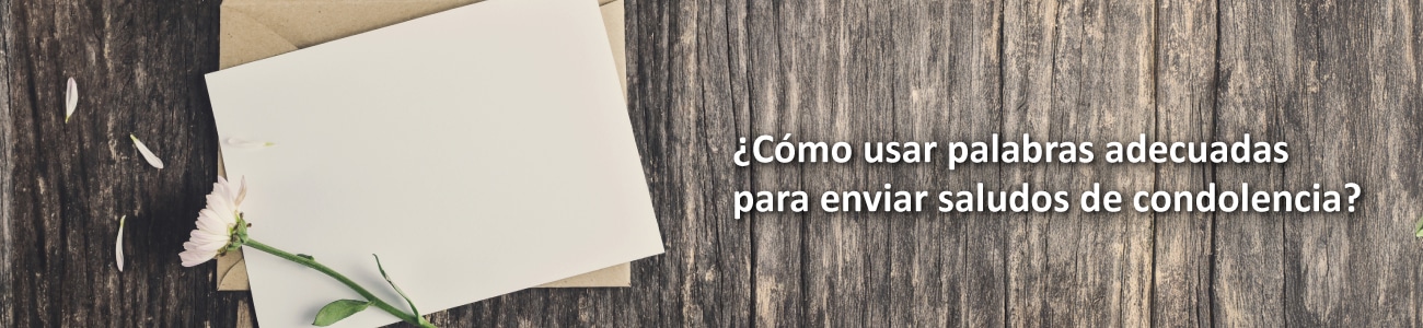 banner v7 titulo