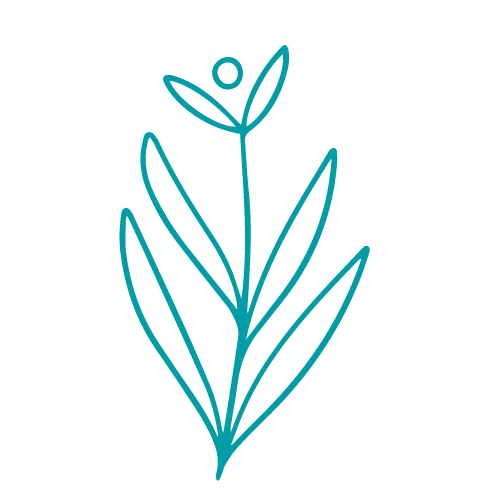 graficas blog flor 1 500 x 500