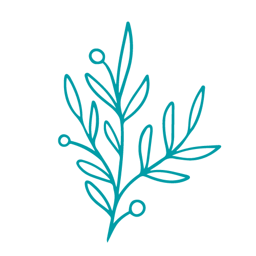 graficas blog flor 2 500 x 500