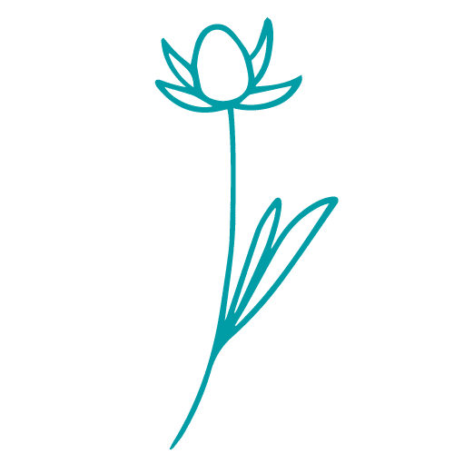 graficas blog flor 4 500 x 500 px