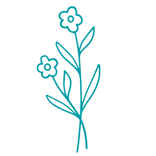 graficas blog flor 5 500 x 500