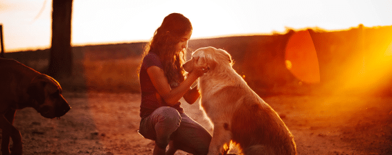 Condolencias Mascotas. Duelo