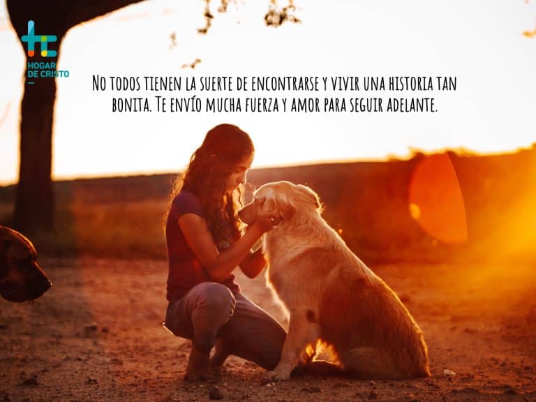 Coronas de Caridad, más que un sentido pésame CORONAS MASCOTAS v2-01 (1) (1)