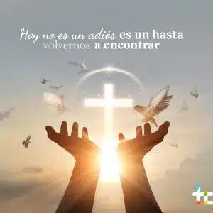 Corona de Caridad Digital Hogar de Cristo Religiosa