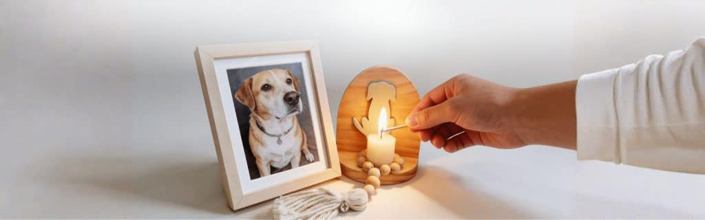 Regalos para duelo de mascota: Guía para honrar un amor incondicional