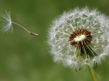 blog-4-razones-2