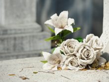 blog-4-razones-4